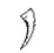 Шкала торцовочной пилы Makita MLS100 фото 1 — rotorua.com.ua