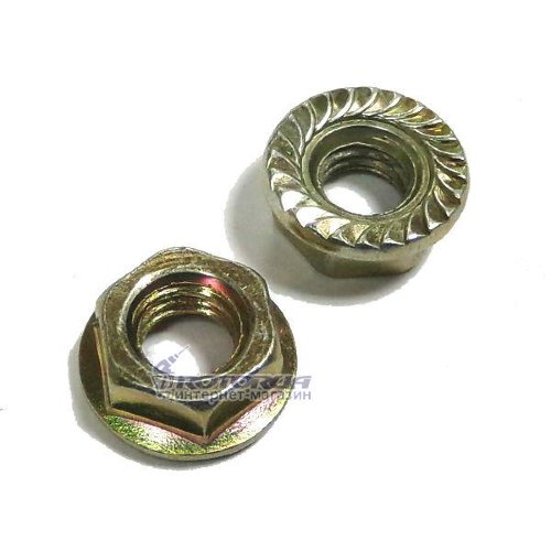 Гайка шины бензопилы Goodluck 2-шт фото 1 — rotorua.com.ua