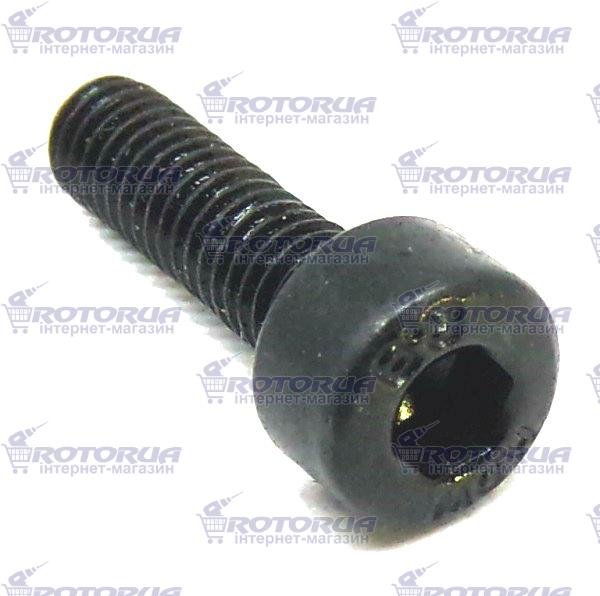 Гвинт кріплення пилкотримача лобзика М4х16 — rotorua.com.ua