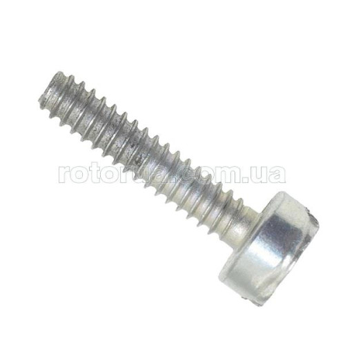 Винт 4х20 Makita DCS34, DCS4610 фото 1 &mdash; rotorua.com.ua