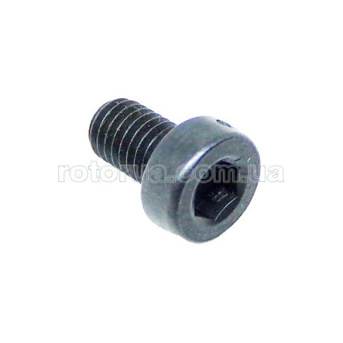 Винт М5х9 Sparky TH 60, TH 60E фото 1 — rotorua.com.ua