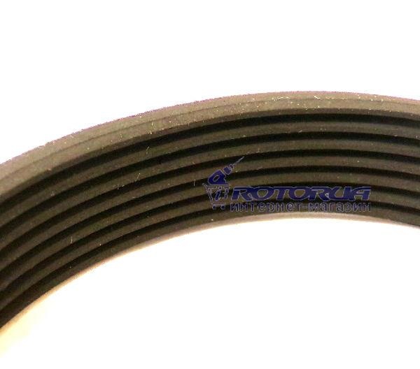 Ремінь для бетономішалки 7PJ230 (7PJ584) — rotorua.com.ua