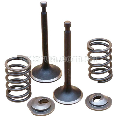 Впускной и выпускной клапаны двигателя генератора, мотоблока 168F фото 1 &mdash; rotorua.com.ua