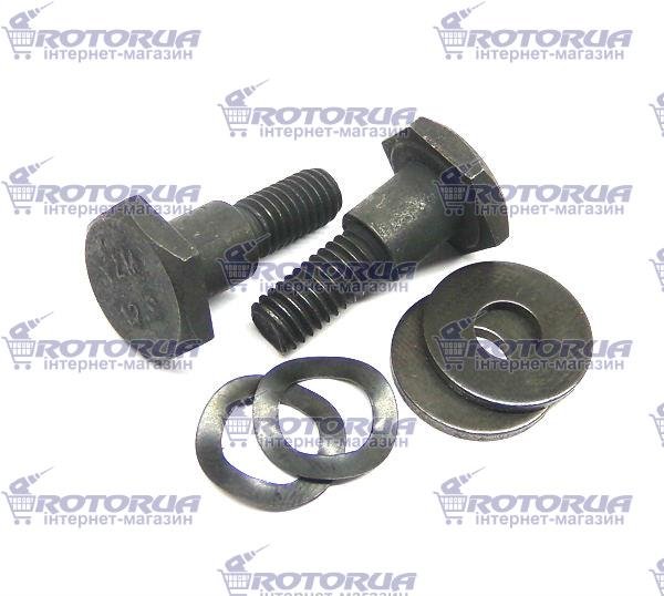Винт колодок сцепления триммера малый 2 шт — rotorua.com.ua
